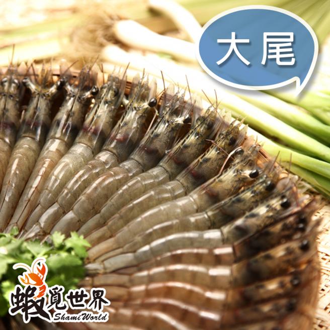 大尾-活凍生鮮白蝦(約18-21尾/300g)