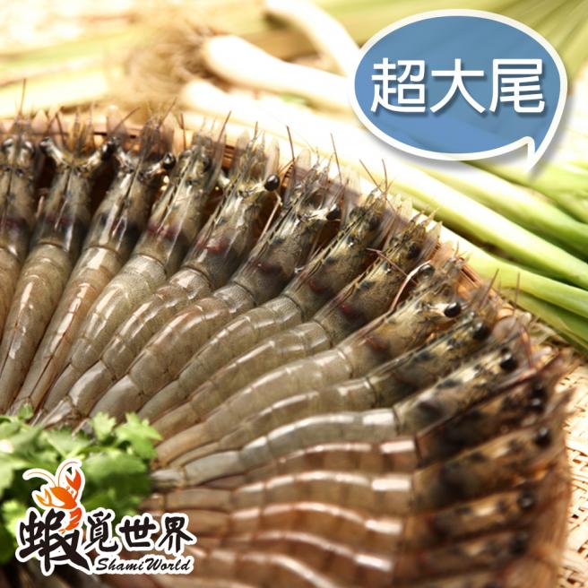 超大尾-活凍生鮮白蝦(約12-14尾/300g)