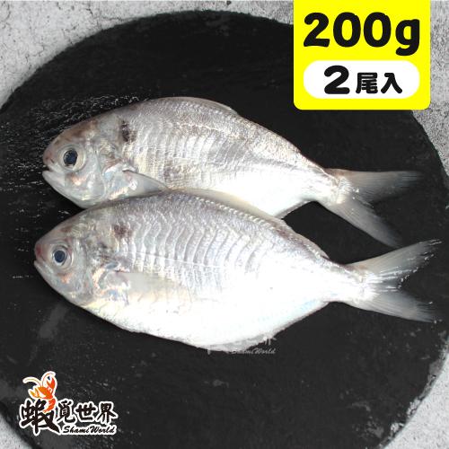 2尾入-海撈肉魚(200g)