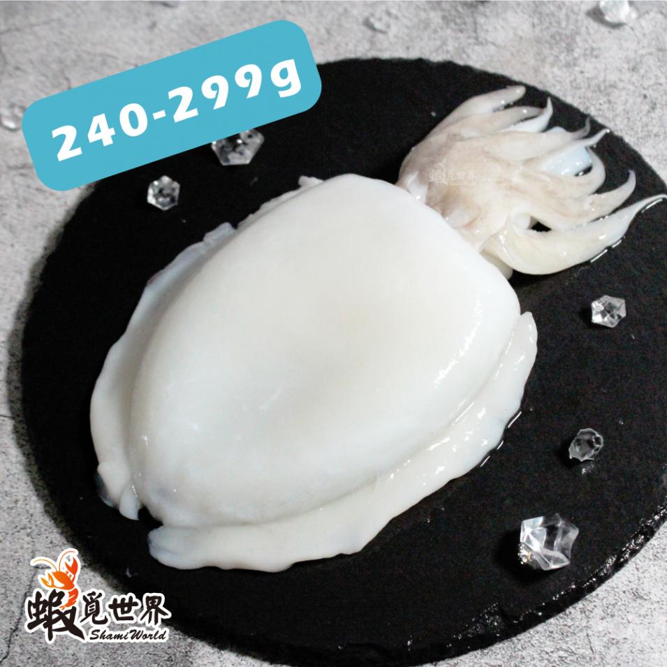 台灣野生花枝(240-299g)