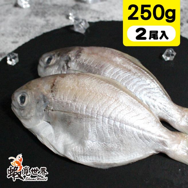 2尾入-海撈肉魚(250g)