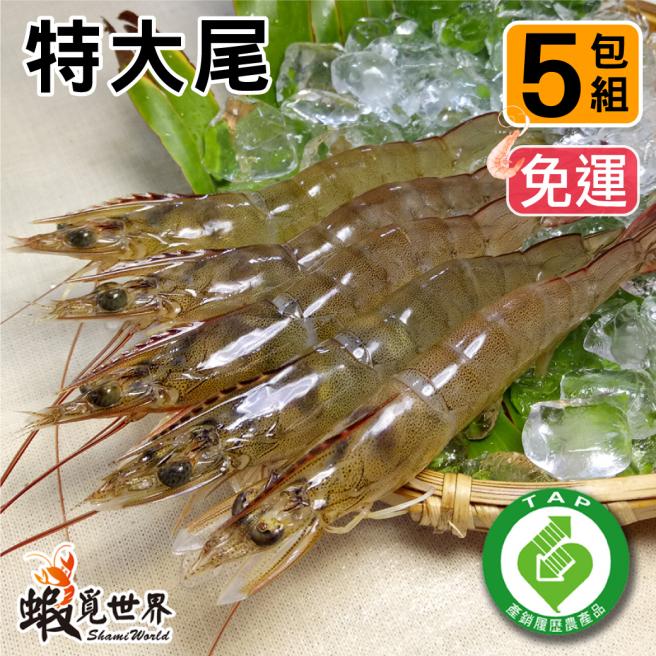 (5包免運)特大尾-活凍生鮮白蝦
