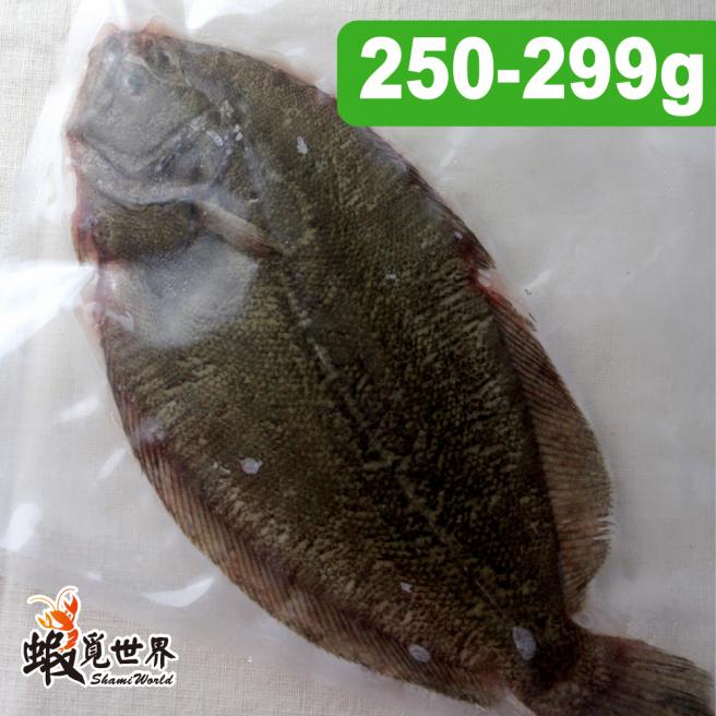 台灣野生比目魚(250/299g)