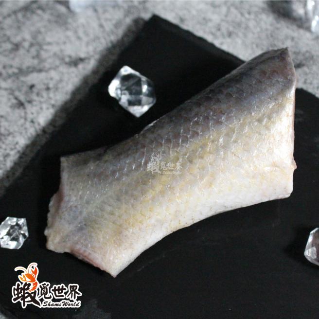 手釣野生大竹午(魚尾284g)