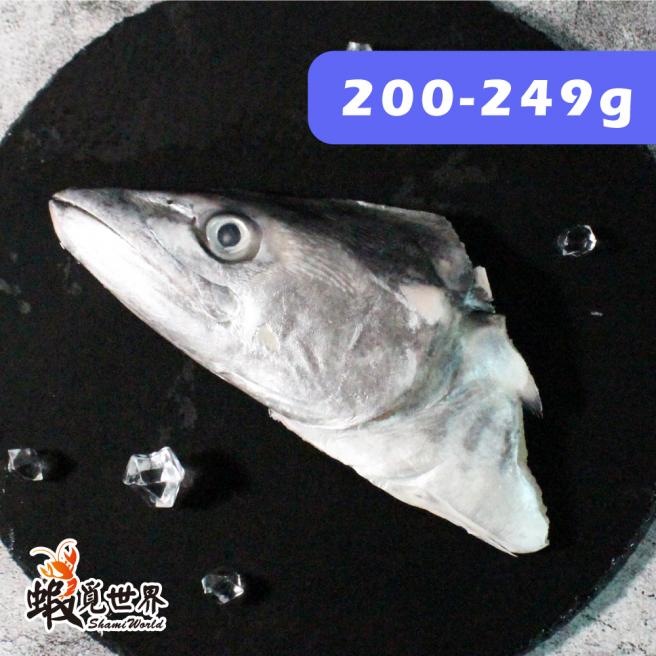 台灣野生土魠魚(頭) 200-249g