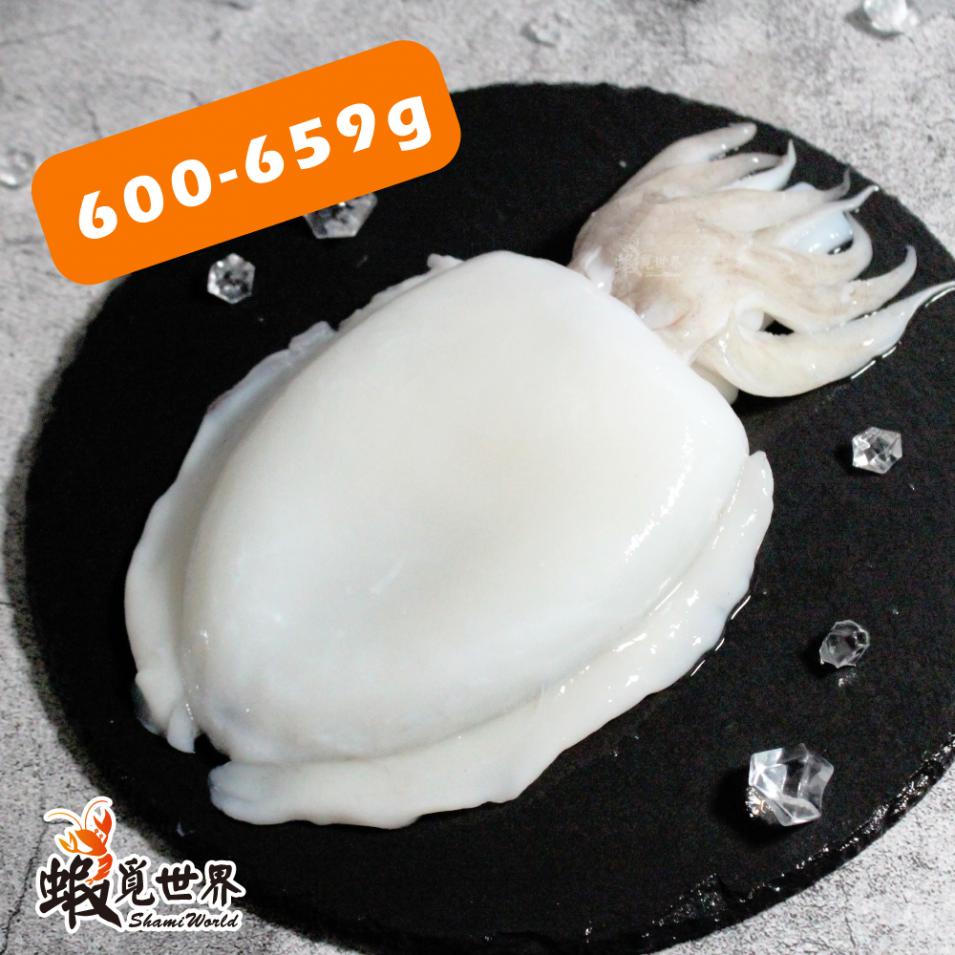 台灣野生花枝(600g-659g)