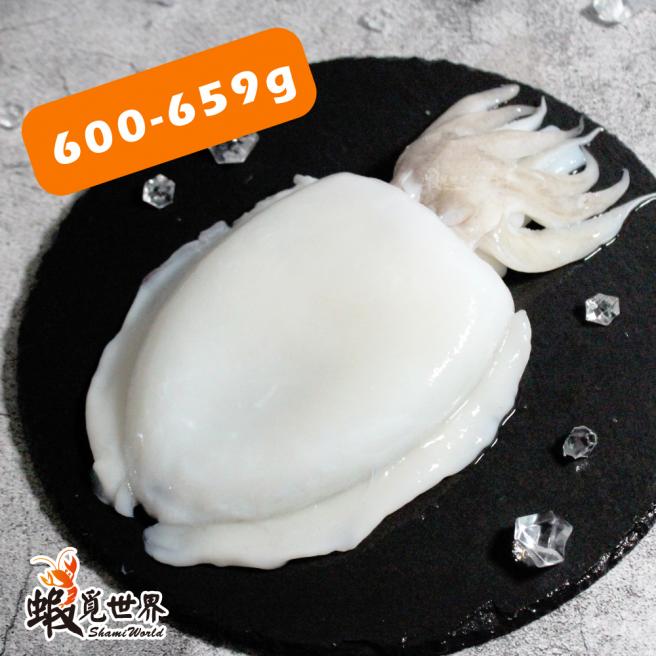 台灣野生花枝(600g-659g)