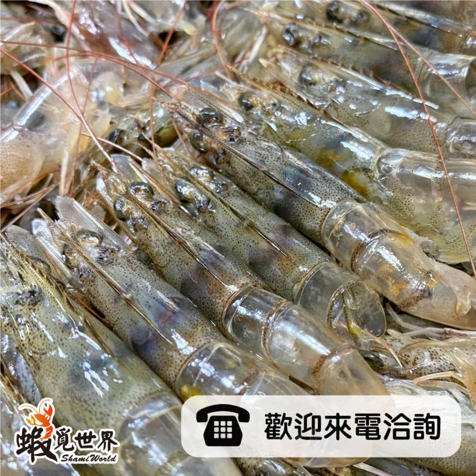 生鮮蝦頭
