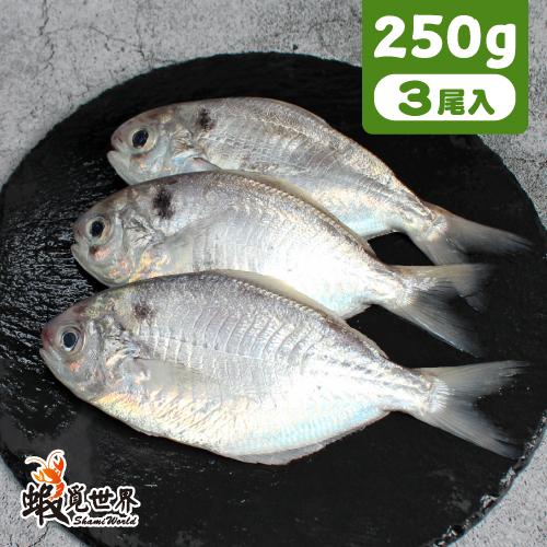 3尾入-海撈肉魚(250g)