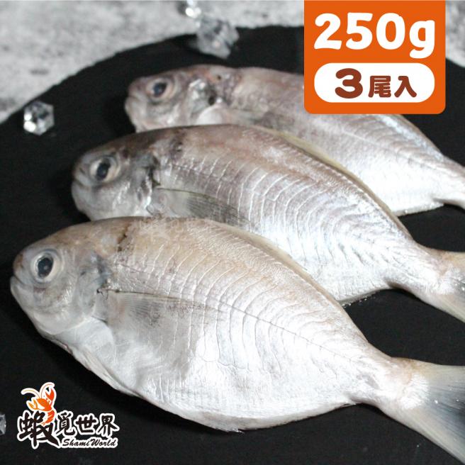 3尾入-海撈肉魚(250g)