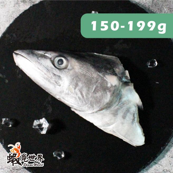 台灣野生土魠魚(頭) 150-199g
