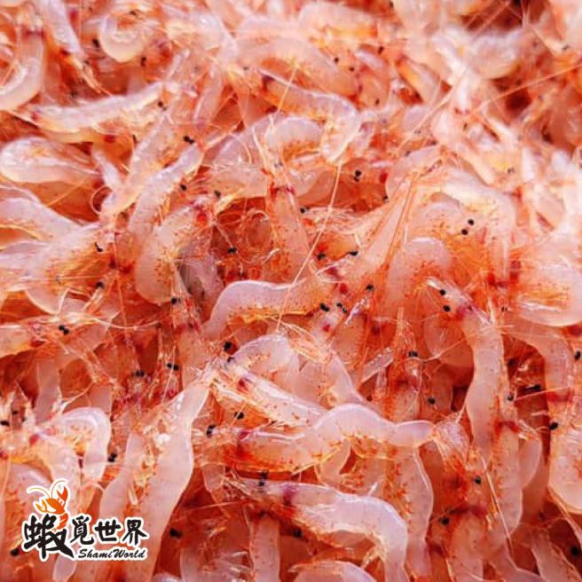 野生櫻花蝦(150g)