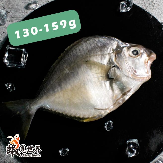 台灣野生三角魚(130-159g/尾)