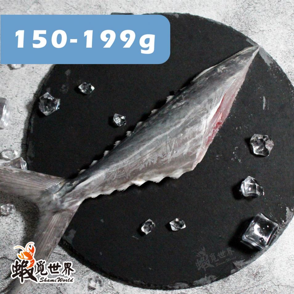 台灣野生土魠魚尾(150-199g)