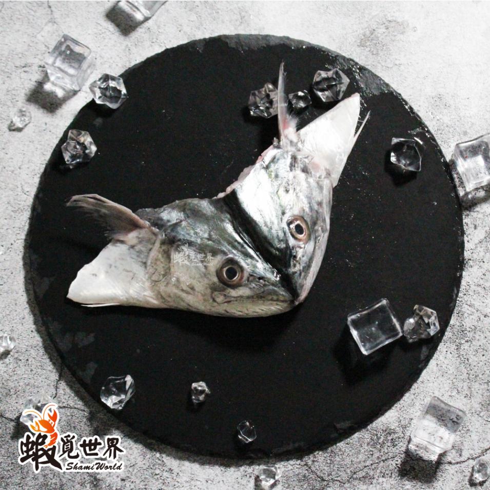 台灣野生白腹魚頭(100-149g)