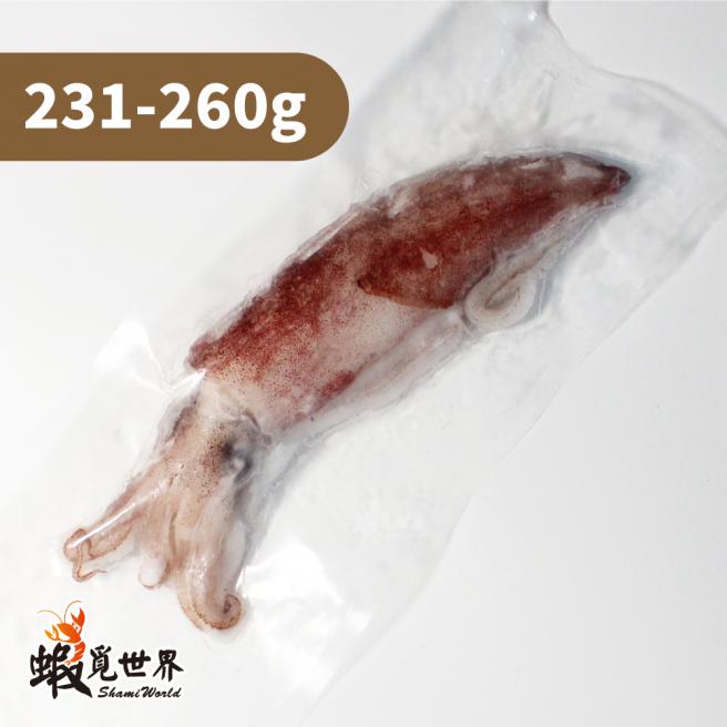 台灣野生中卷(231-260g)