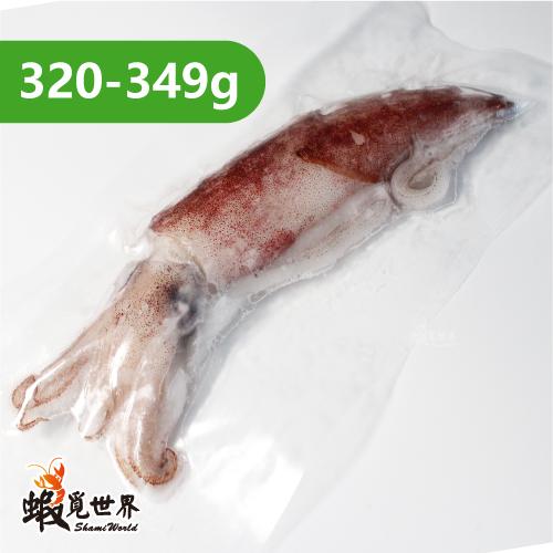 台灣野生中卷(320-349g)