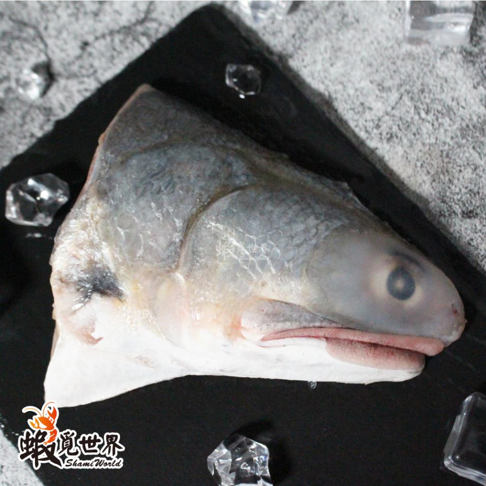 手釣野生大竹午魚頭(130-159g/半顆入)