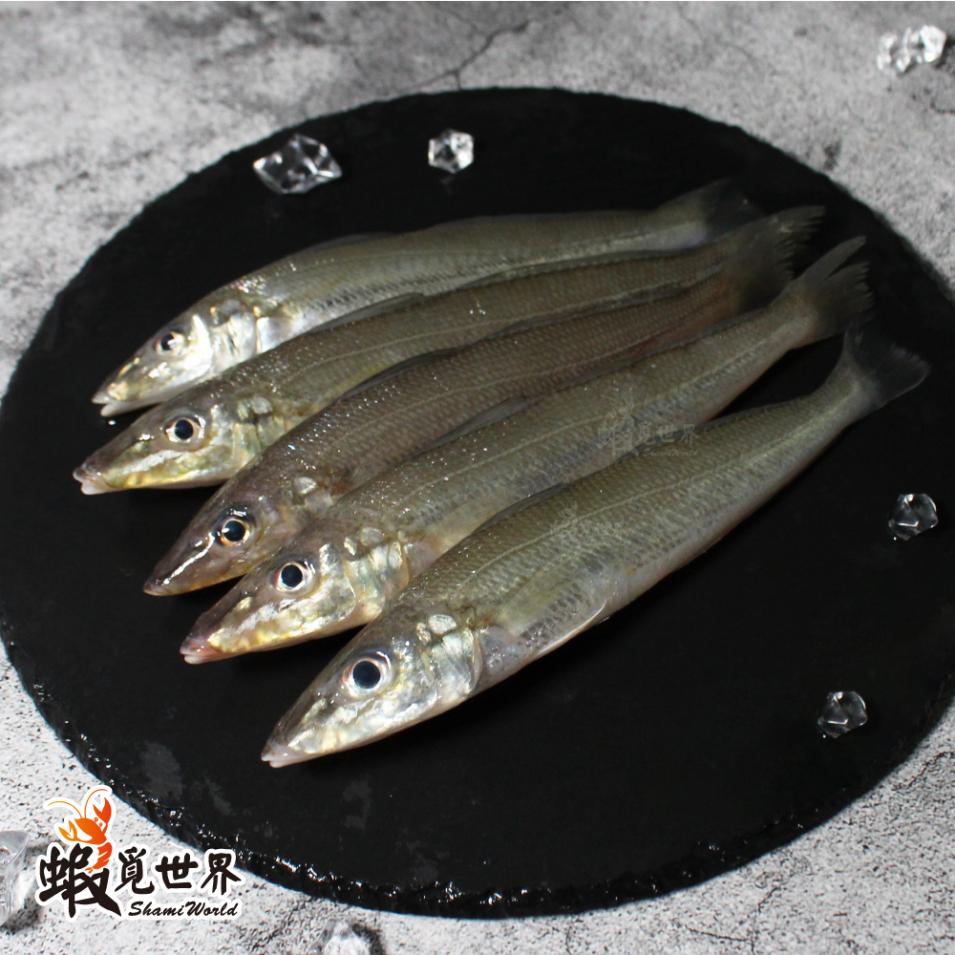 台灣野生沙梭(250g/4尾)