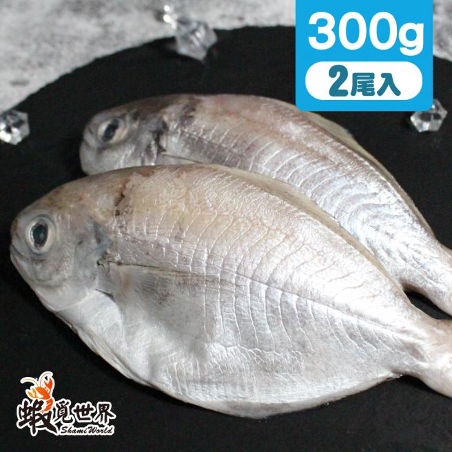 2尾入/海撈肉魚(300g)