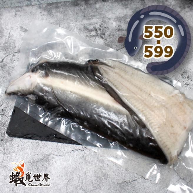 生鮮白鰻片(550-599g)