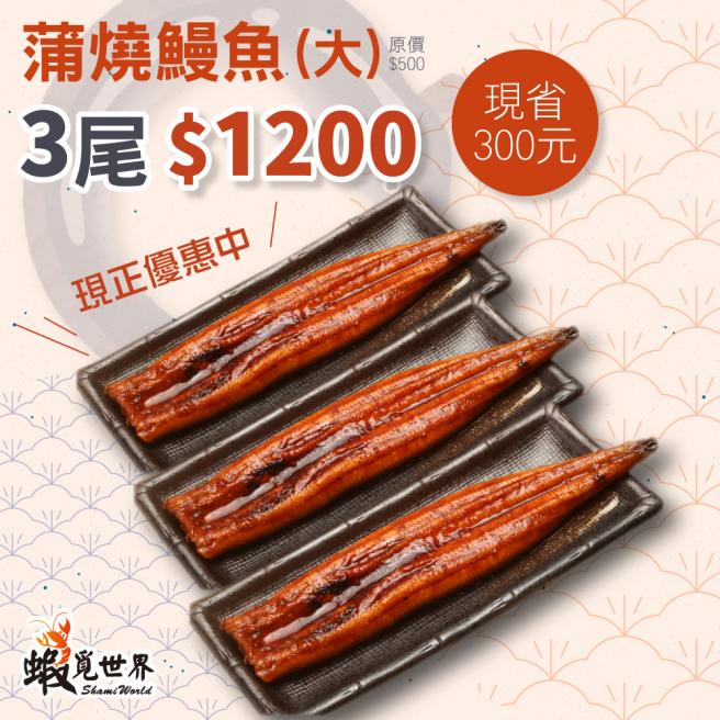 大尾-蒲燒鰻魚3包優惠組