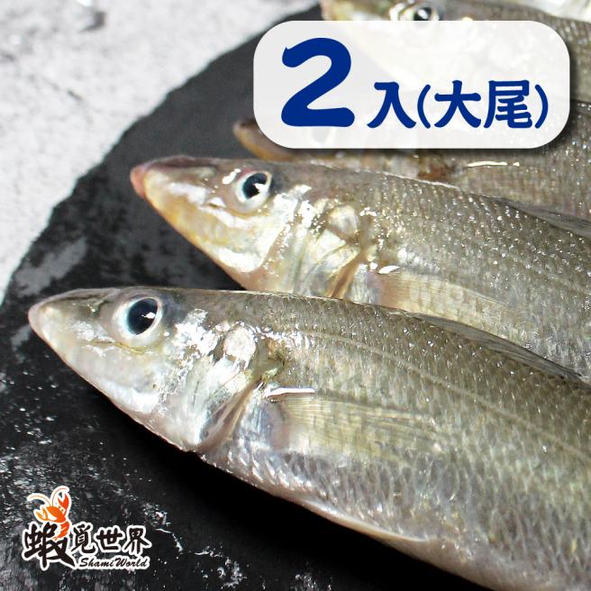 台灣野生沙梭(200g/2尾)