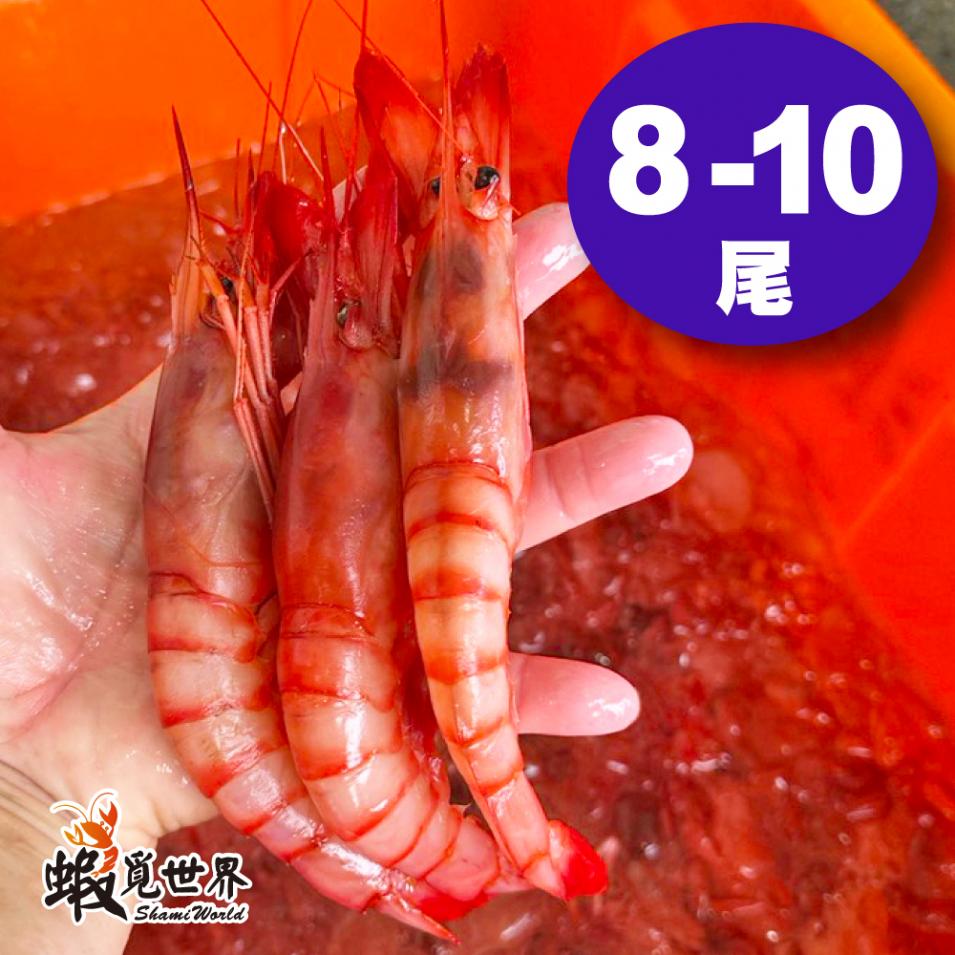 8-10尾/野生葡萄蝦(500g/盒)