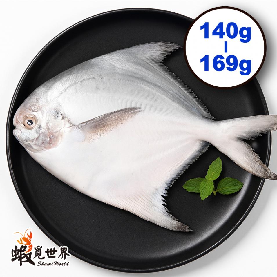 台灣野生白鯧(140-169g/尾)