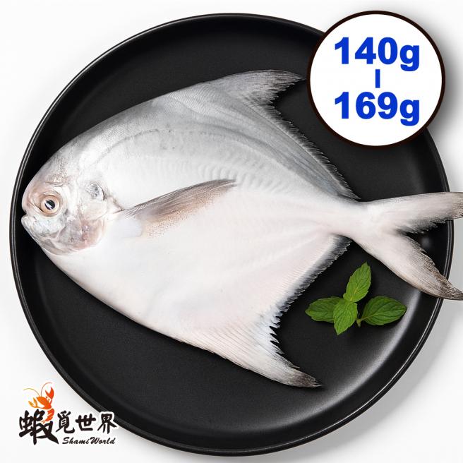台灣野生白鯧(140-169g/尾)