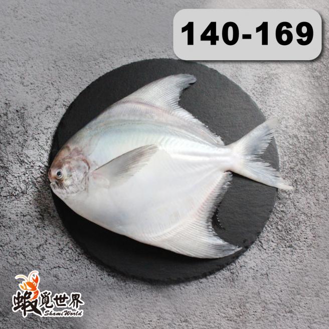 台灣野生白鯧(S)(140-169g/尾)