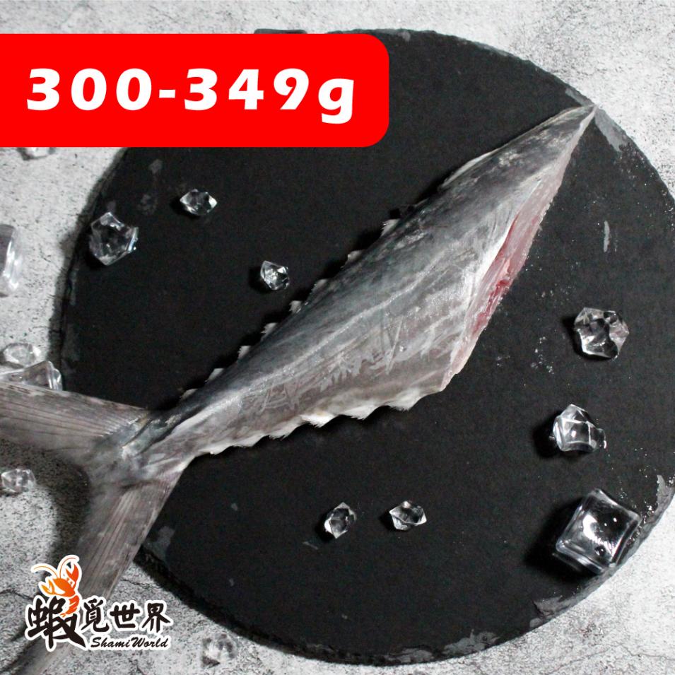 台灣野生土魠魚尾(300-349g)