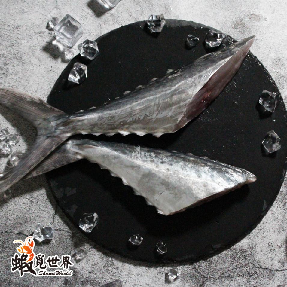 台灣野生白腹魚尾(200/249g)