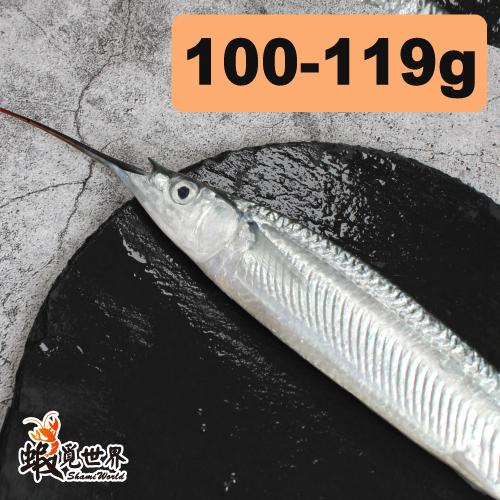 台灣野生水針魚(100-119g/尾)