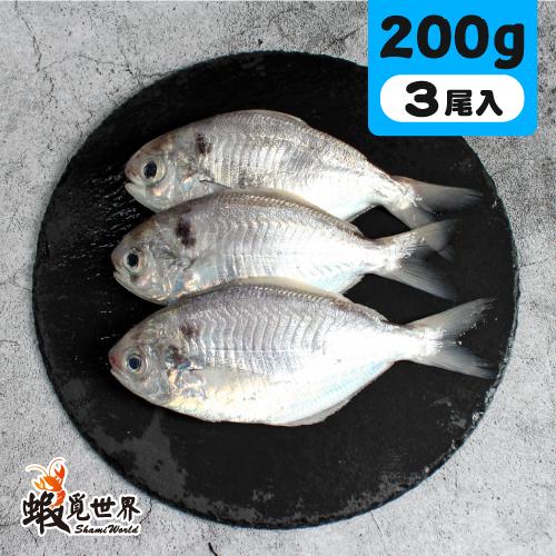 3尾入/海撈肉魚(200g)