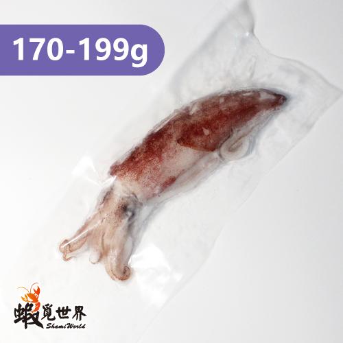 台灣野生中卷(170-199g)