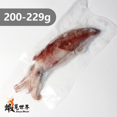 台灣野生中卷(200-229g)