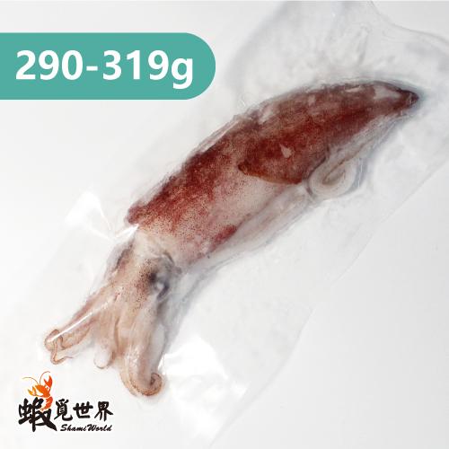 台灣野生中卷(290-319g)