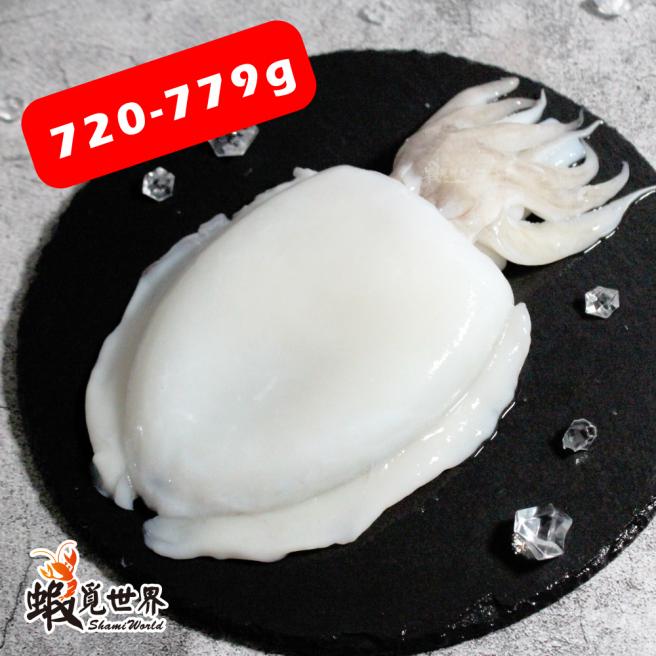 台灣野生花枝(720-779g)
