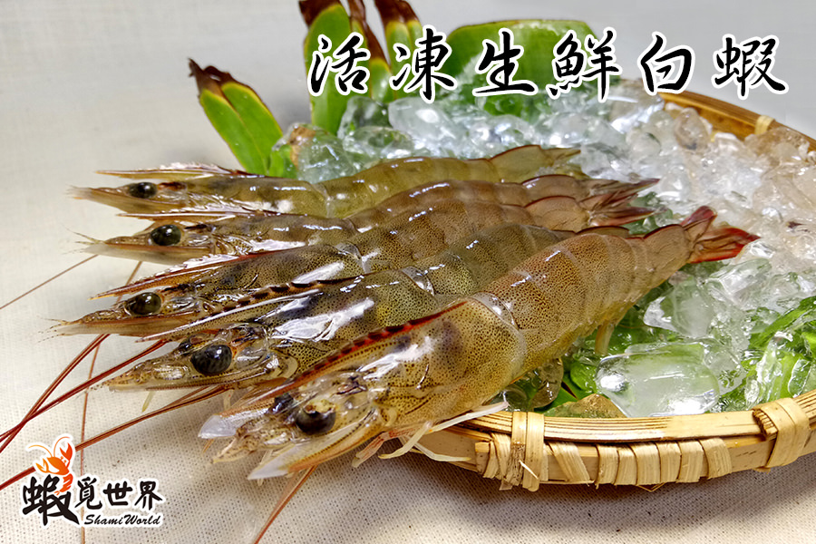 活凍生鮮白蝦