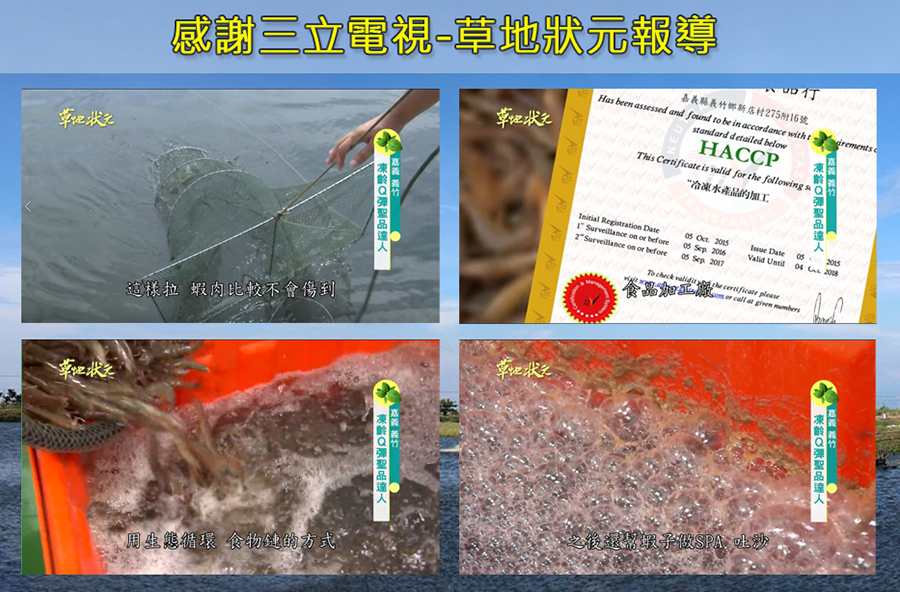 草地狀元