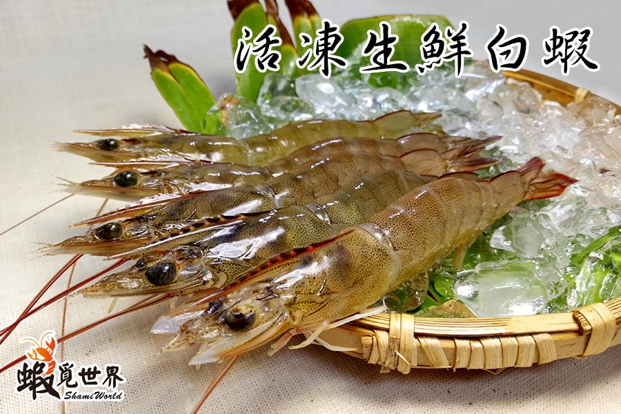 急凍生鮮白蝦-02.jpg