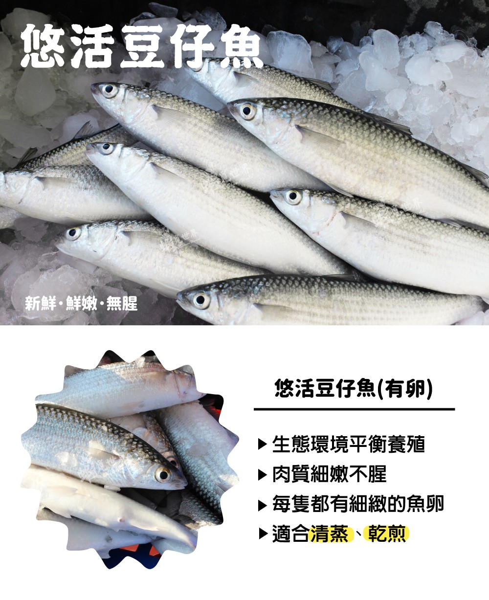 豆仔魚上架圖A.jpg