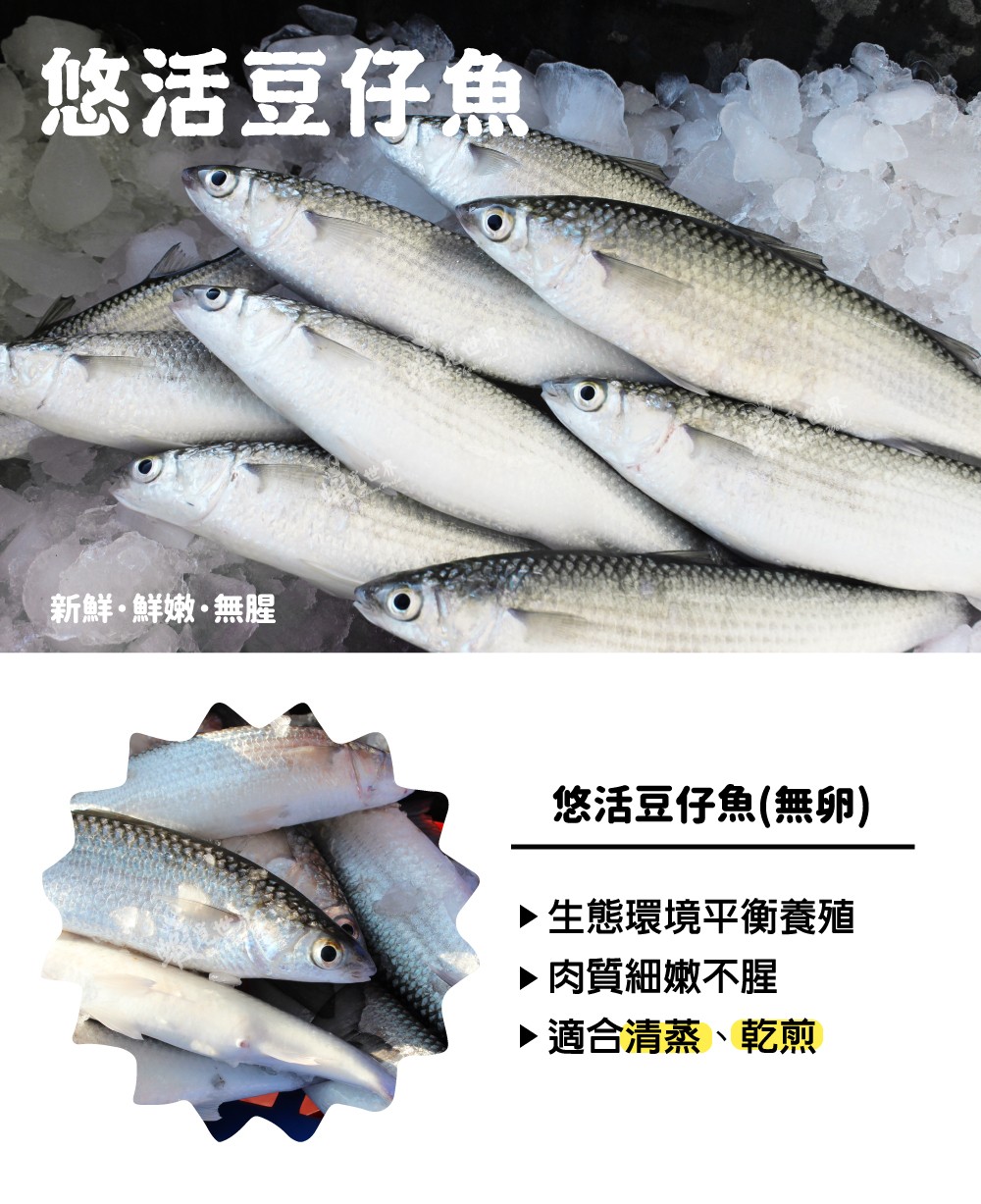 豆仔魚上架圖A.jpg