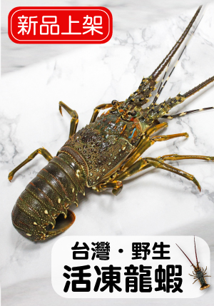 龍蝦上架-彈跳視窗.jpg